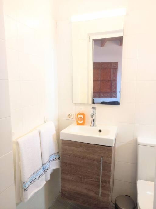 Estudio Don Antonio En El Centro De La Laguna Ла Лагуна Екстериор снимка
